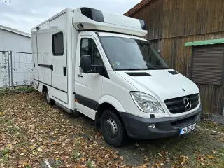 Mercedes Sprinter Wohnmobil 2008, Wohnmobil in weiß